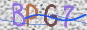 Obraz CAPTCHY