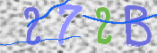 Obraz CAPTCHY