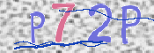 Obraz CAPTCHY