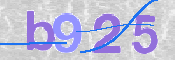 Obraz CAPTCHY