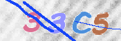 Obraz CAPTCHY