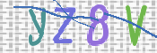 Obraz CAPTCHY