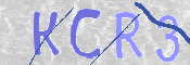 Obraz CAPTCHY