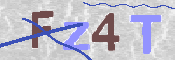 Obraz CAPTCHY